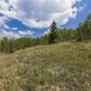 0 Virginia Canyon Road, Central City, CO 80427 ID:4228970