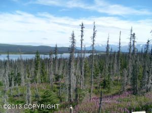 L3 Mel Drive, Homer, AK 99603
