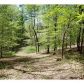 1970 Howell Bridge Road, Ball Ground, GA 30107 ID:7940313