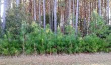 Lot 6 Landing Road (Apn# 7336.01.47 Gloucester, NC 28528