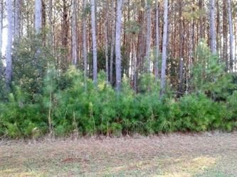 Lot 6 Landing Road (Apn# 7336.01.47, Gloucester, NC 28528