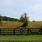 125 Woodhaven Lane, Ball Ground, GA 30107 ID:7837630