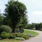 125 Woodhaven Lane, Ball Ground, GA 30107 ID:7837632