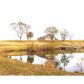 167 Grayson Marler Rd, Hineston, LA 71438 ID:3093060