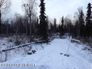 L12 B1 Atelier Drive, Anchorage, AK 99507