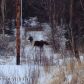 L12 B1 Atelier Drive, Anchorage, AK 99507 ID:7436066