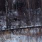 L12 B1 Atelier Drive, Anchorage, AK 99507 ID:7436067