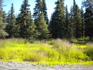 L15 Scenic Breezes Court, Kwethluk, AK 99621