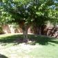 306 N Santa Cruz Avenue, Modesto, CA 95354 ID:7781352