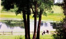 40915 LOUISE RD Bimble, KY 40915