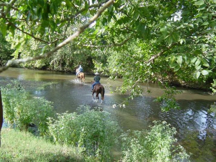 1143 Taliaferro Springs Road, Lyerly, GA 30730