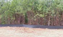 711 Walnut Woods Drive Braselton, GA 30517