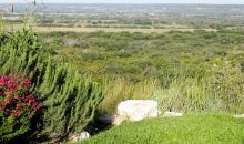 333 Roesche Ridge Doss, TX 78618