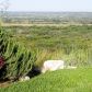 333 Roesche Ridge, Doss, TX 78618 ID:6444520