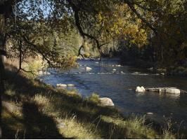 610 Wildwater LaneHomestead 6, Almont, CO 81210