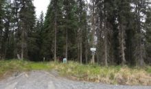 36029 Tremelo Circle #7 Soldotna, AK 99669