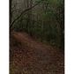 1920 River Run Trail, Cornelia, GA 30531 ID:7627665
