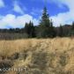 856 Soundview Avenue, Homer, AK 99603 ID:7461226