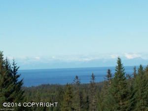 67700 Agusta Lane, Homer, AK 99603