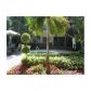 5654 ROCK ISLAND RD # 214, Fort Lauderdale, FL 33319 ID:8033271