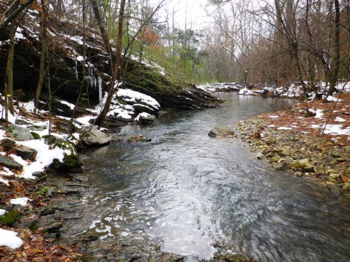 231 Parker Street, Norman, AR 71960