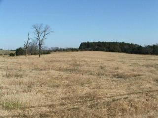 Hwy 206, Everton, AR 72633