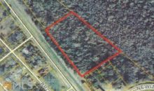 0 Savannah Hwy Newington, GA 30446