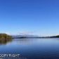 3559 S Horseshoe Lake Road, Big Lake, AK 99652 ID:8007813