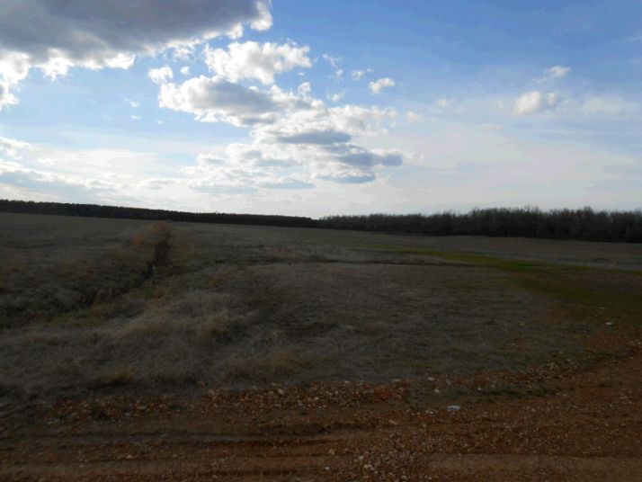 00 Elgin Rd, Cord, AR 72524