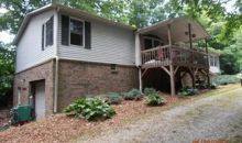 53 Mill Knob Dr Mills River, NC 28759