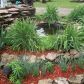 182 Cr 832, Henderson, AR 72544 ID:1170729