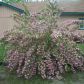 182 Cr 832, Henderson, AR 72544 ID:1170731