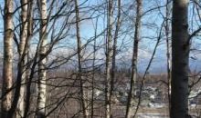 6440 Quiet Circle Anchorage, AK 99502