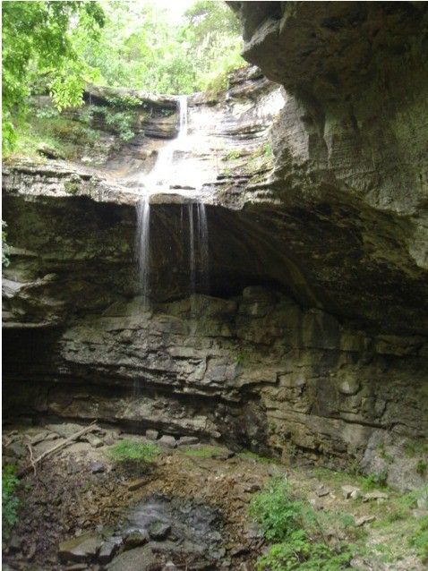 539 Spring Creek Road, Big Flat, AR 72617