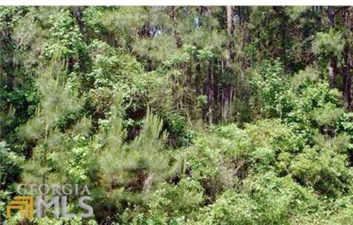 0 Hadden Lake Rd, Clyo, GA 31303