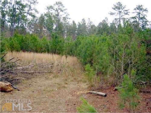 0 Green Morgan School Rd, Clyo, GA 31303