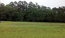 0 Tuckasee King Clyo, GA 31303