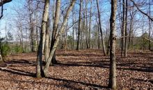 31 Macedonia Road White, GA 30184