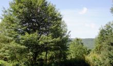 189 Green Hills Lane Wallingford, VT 05773