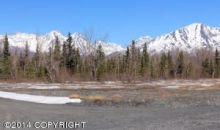 L1 B8 E Phoenicia Drive Palmer, AK 99645