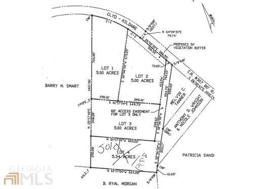 0 Clyo Kildare Rd, Clyo, GA 31303