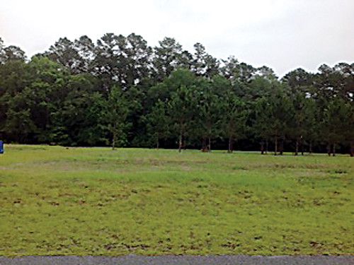 0 Tuckasee King, Clyo, GA 31303