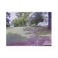 34 Parham Street, Warm Springs, GA 31830 ID:7918821