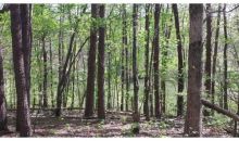 4816 Water Lily Jasper, GA 30143
