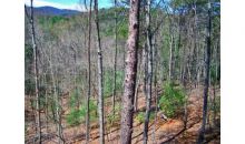 3388 Blue Sage Drive Jasper, GA 30143