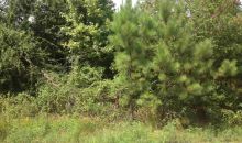 7416 Henry Ln Hensley, AR 72065