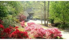 3450 Forest Valley Way Cumming, GA 30041