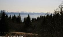 580 Fireweed Avenue Homer, AK 99603