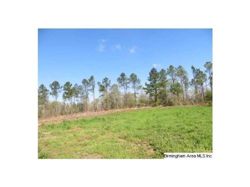COLVIN RD 75 AC, Lincoln, AL 35096