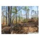 COLVIN RD 75 AC, Lincoln, AL 35096 ID:7713686